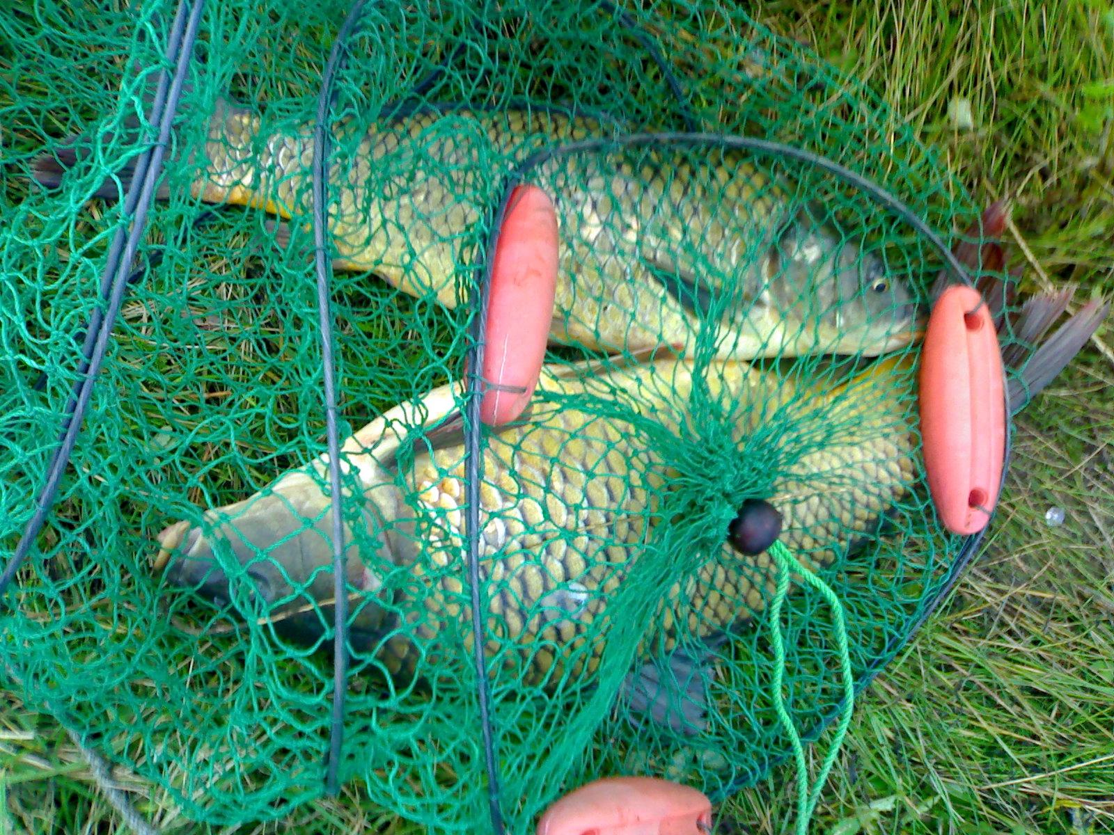 la pescuit - 08092009978.jpg